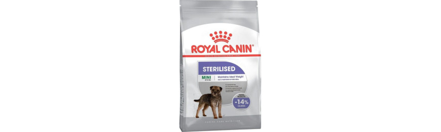 雙11優惠 Royal Canin 絕育犬隻系列